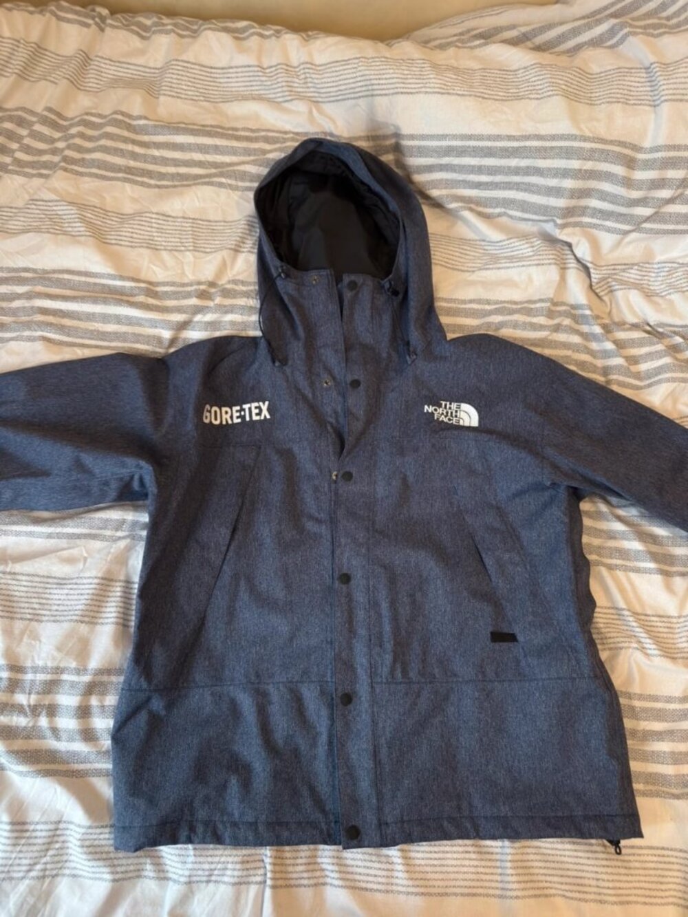The North Face GORE-TEX Waterproof Jacket Blue Size L